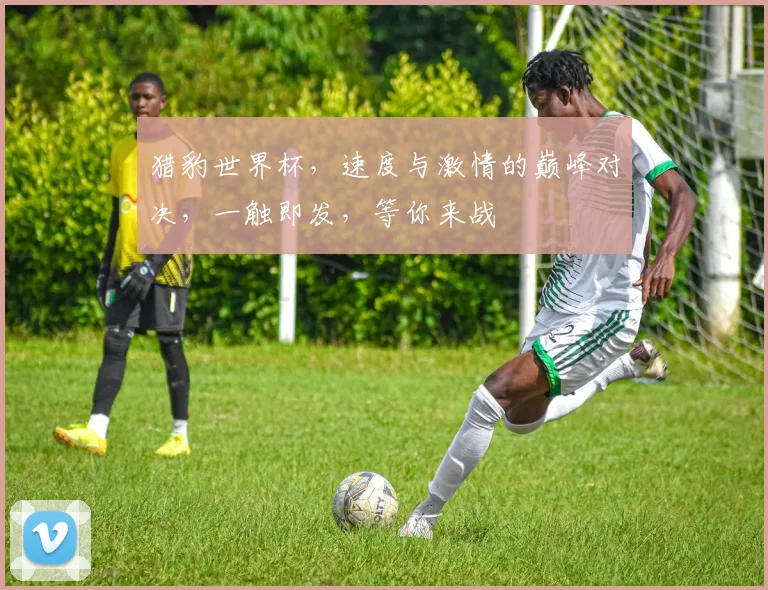 猎豹世界杯，速度与激情的巅峰对决，一触即发，等你来战