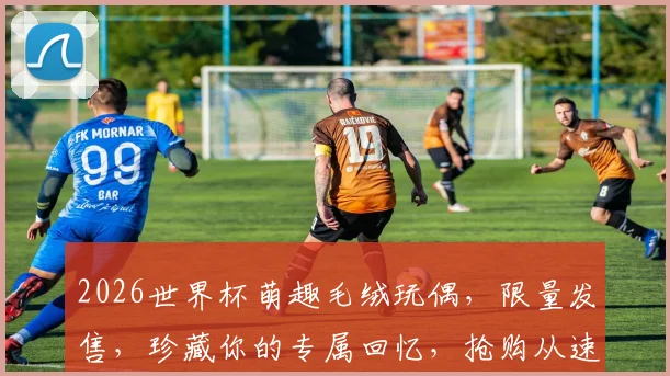 2026世界杯萌趣毛绒玩偶，限量发售，珍藏你的专属回忆，抢购从速