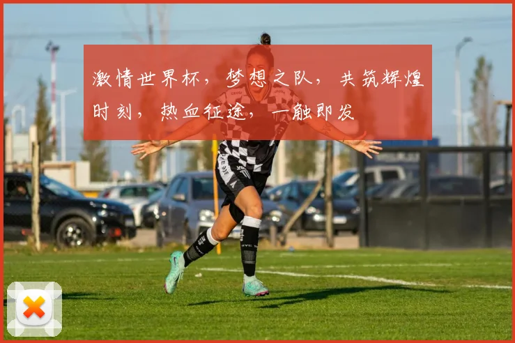 激情世界杯，梦想之队，共筑辉煌时刻，热血征途，一触即发