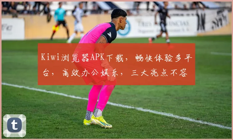 Kiwi浏览器APK下载，畅快体验多平台，高效办公娱乐，三大亮点不容错过，必看