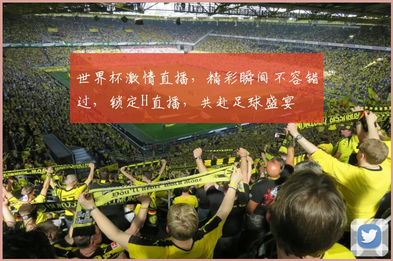 世界杯激情直播，精彩瞬间不容错过，锁定H直播，共赴足球盛宴