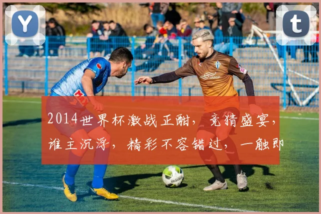 2014世界杯激战正酣，竞猜盛宴，谁主沉浮，精彩不容错过，一触即发